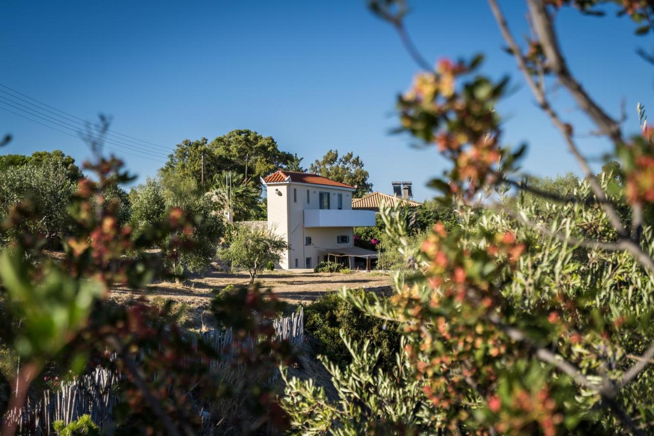 Koróni Seafront Studio With Direct Beach Access מראה חיצוני תמונה